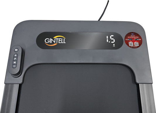 WeWalk 1.0 Walking Pad FT498 (GINTELL X Dion)