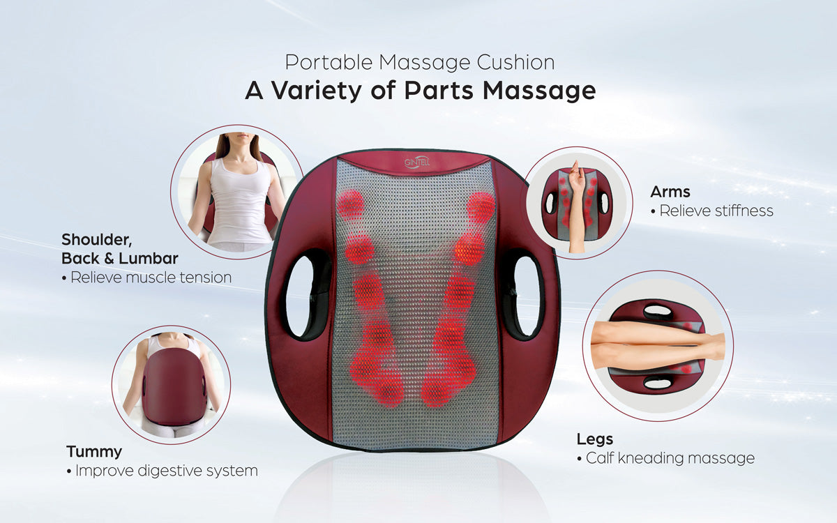 G-Vizee Care + G-Flexi Portable Massage Cushion Bundle