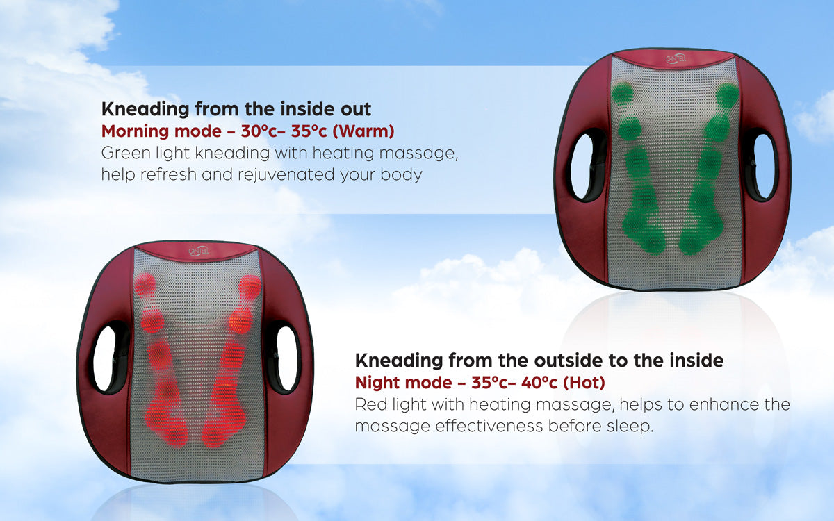 G-Vizee Care + G-Flexi Portable Massage Cushion Bundle