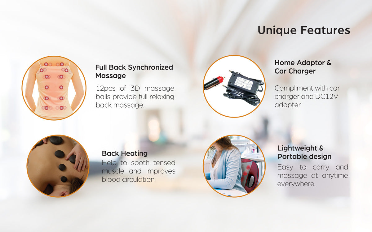 G-Vizee Care + G-Flexi Portable Massage Cushion Bundle
