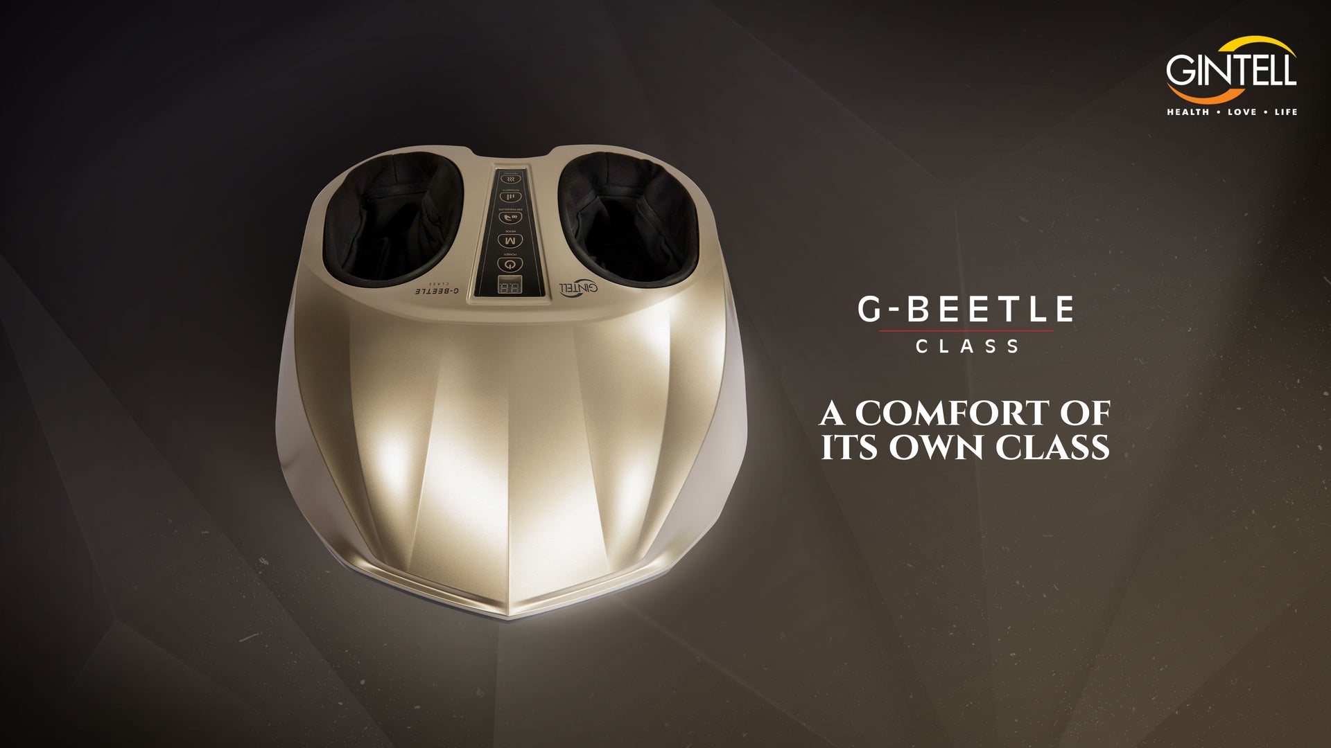 G-Beetle Class + Minnie Mouse Massage Cushion Bundle